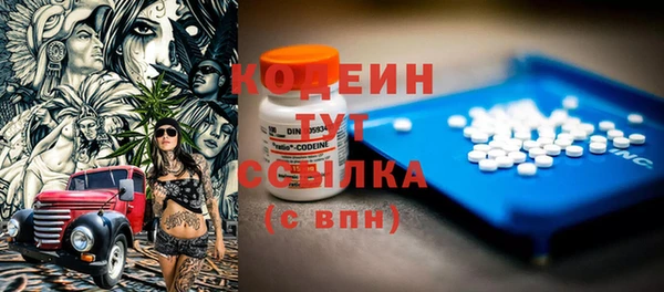 дурь Алексин
